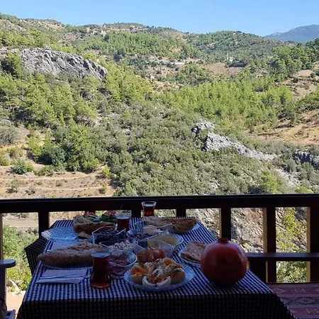 Chalet Herguel Village *
